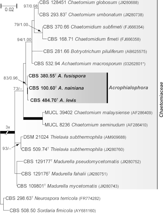 FIG 1