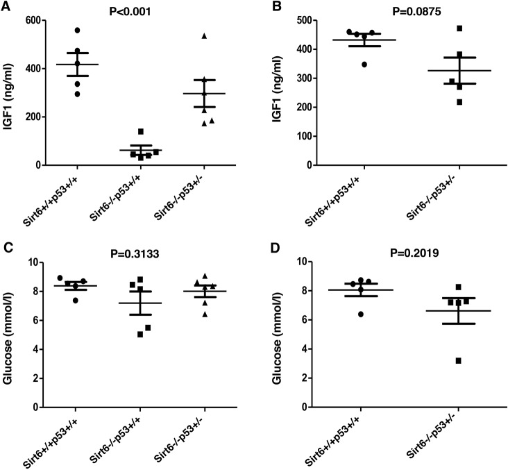 Figure 2—figure supplement 1.