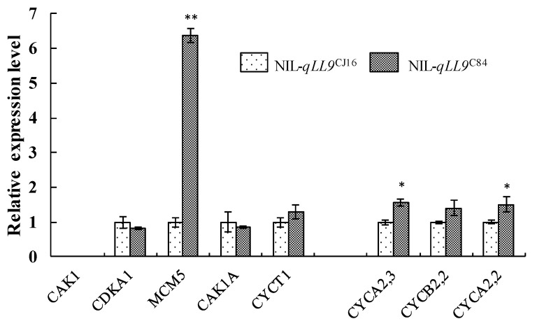 Figure 11