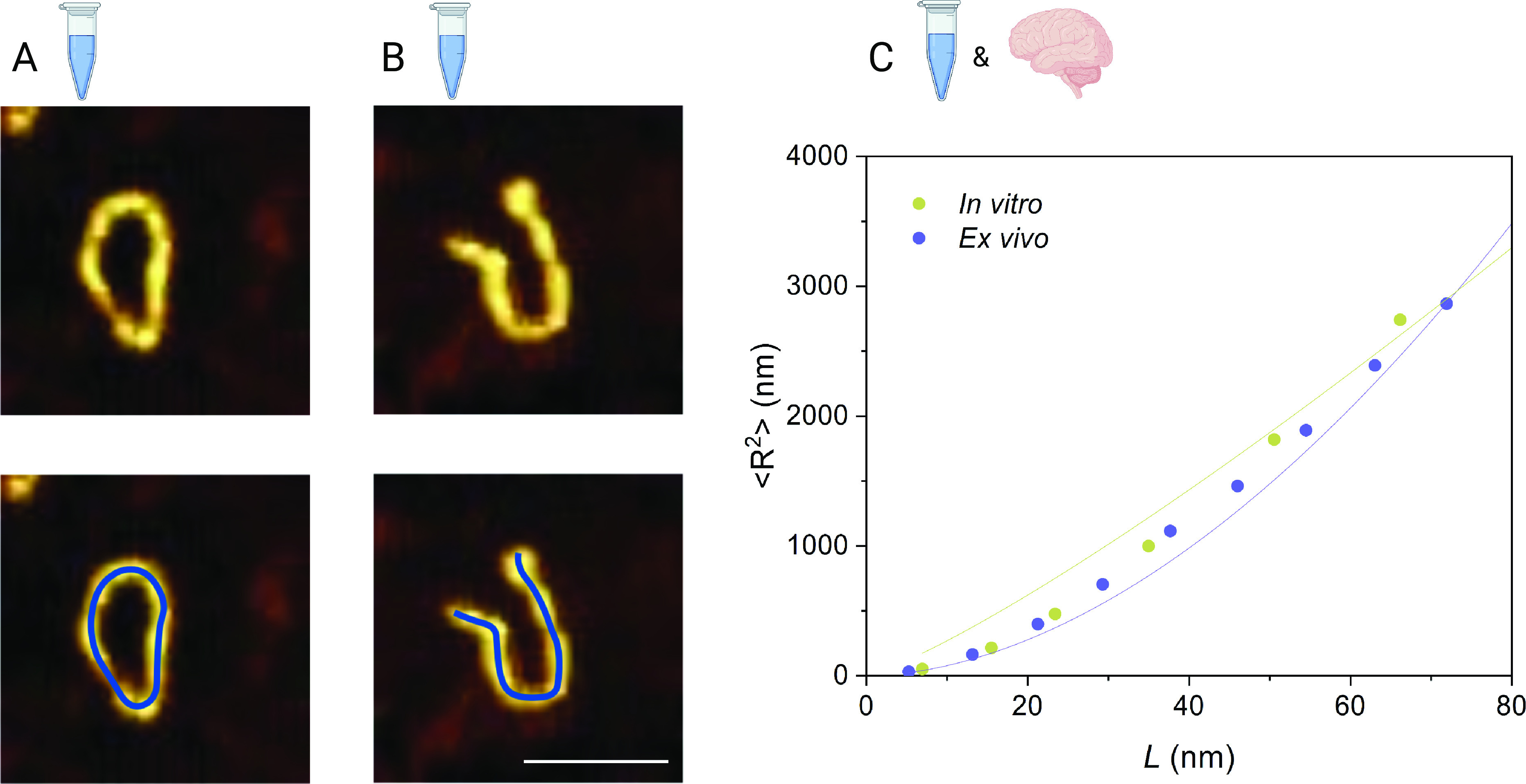 Fig. 2.