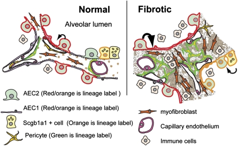 Fig. P1.