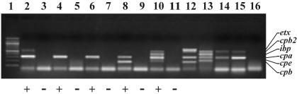 FIG. 3.