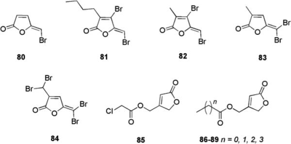 Fig. 13