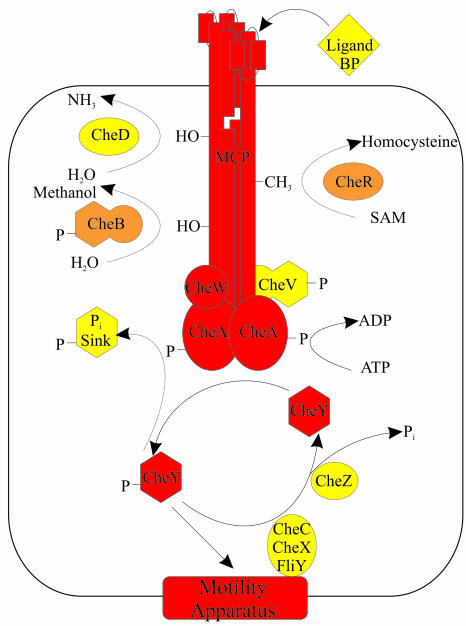 FIG. 1.