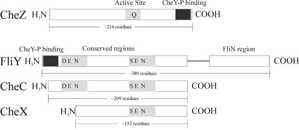 FIG. 8.