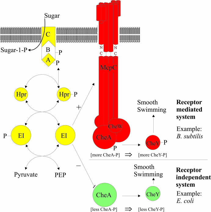 FIG. 5.