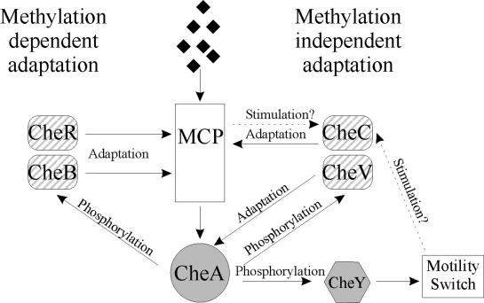 FIG. 7.