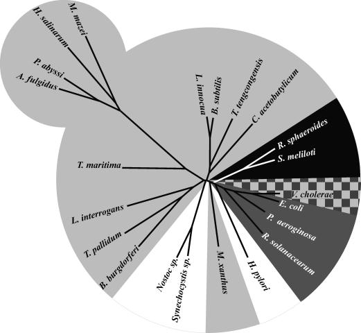 FIG. 9.