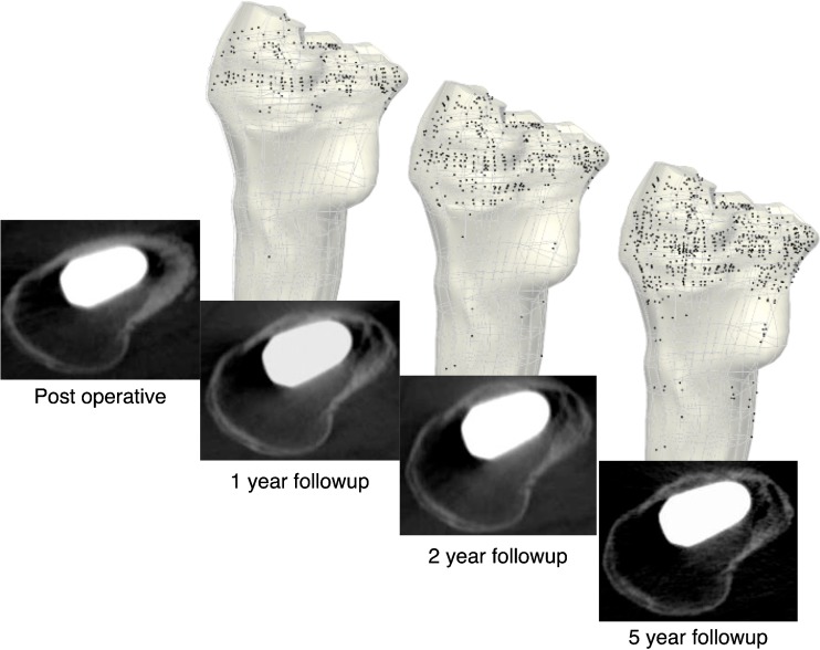 Fig. 5