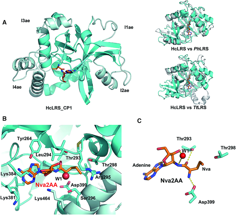 Figure 3.