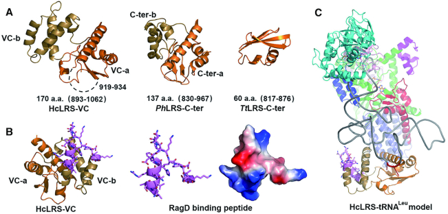 Figure 4.