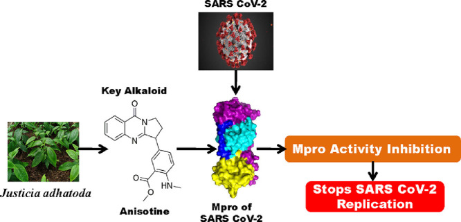 Image, graphical abstract