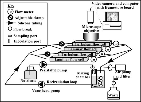 FIG. 1.