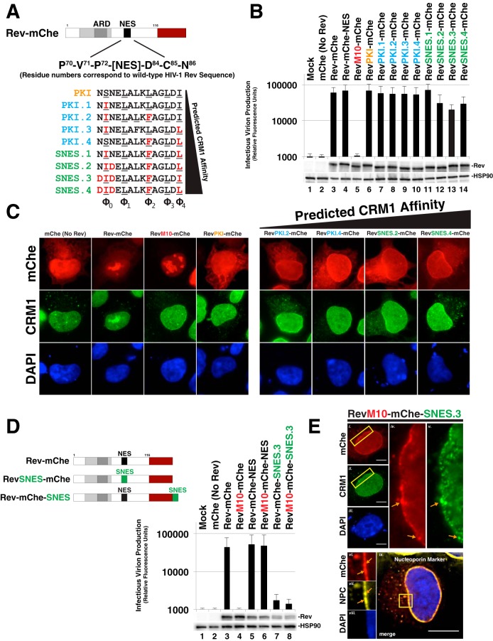 FIG 3