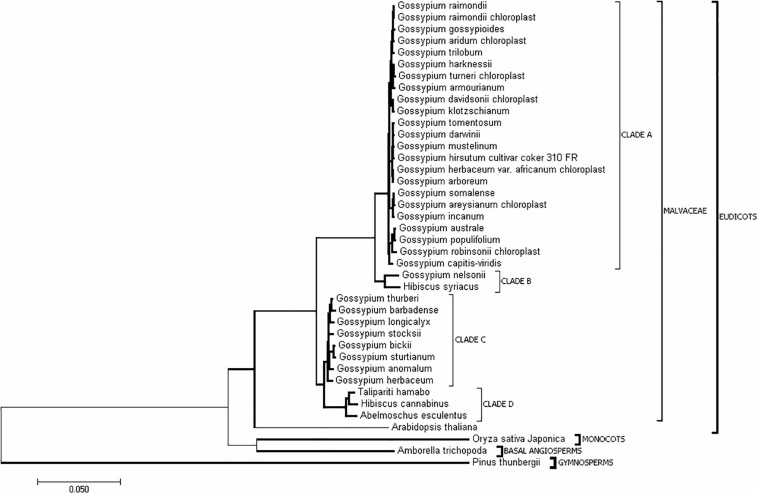 FIGURE 3