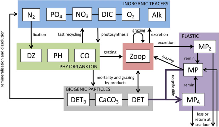 Figure 6