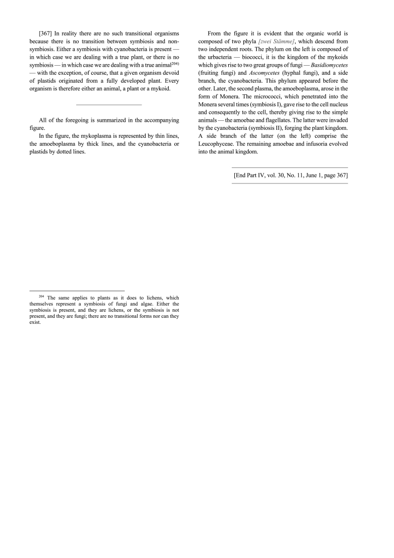 Image 31