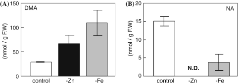 Fig. 4