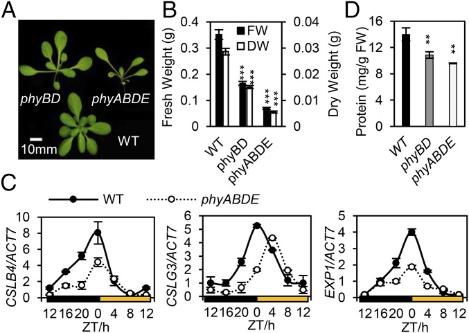 Fig. 3.