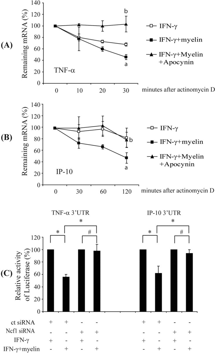 Figure 9.