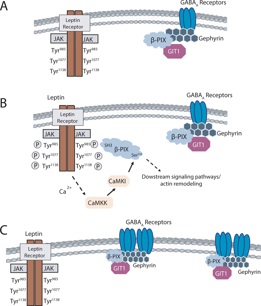 Figure 7:
