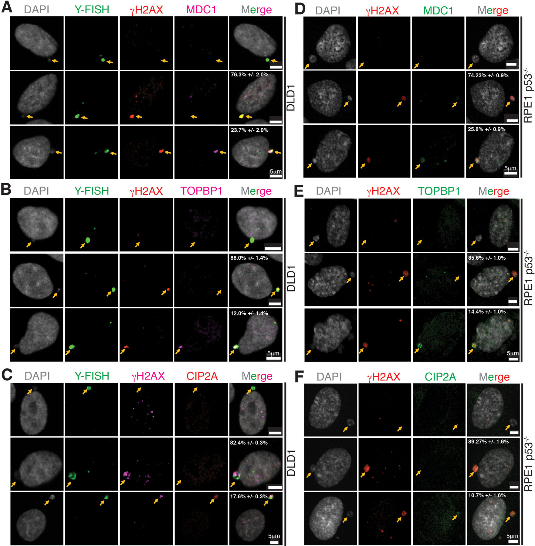 Extended Data Fig. 4.