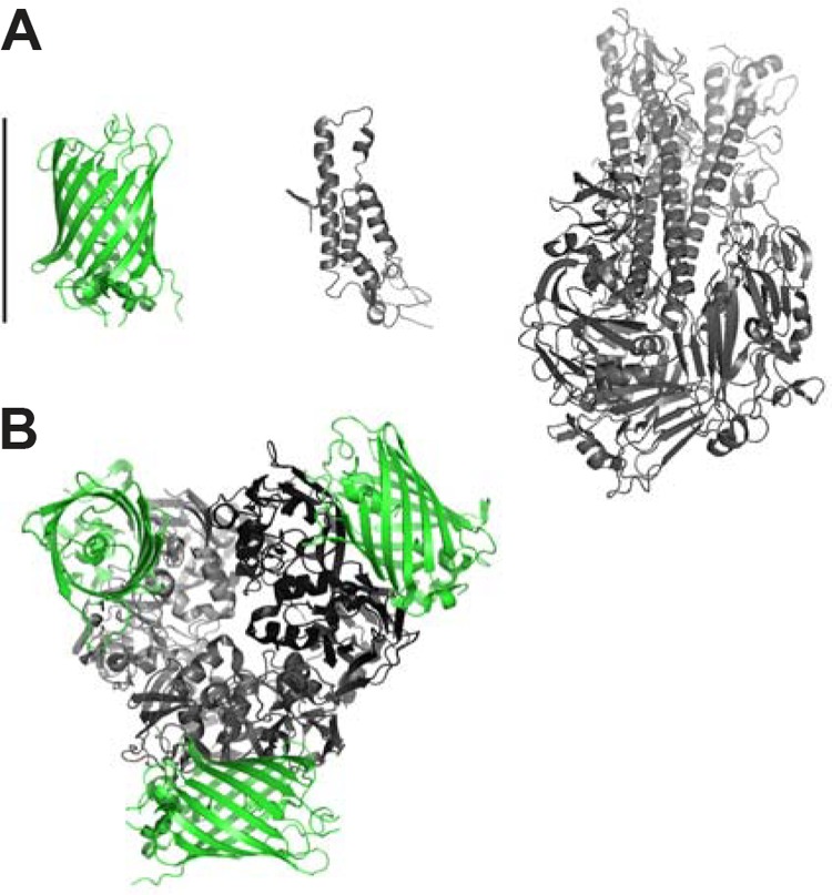 FIG 1