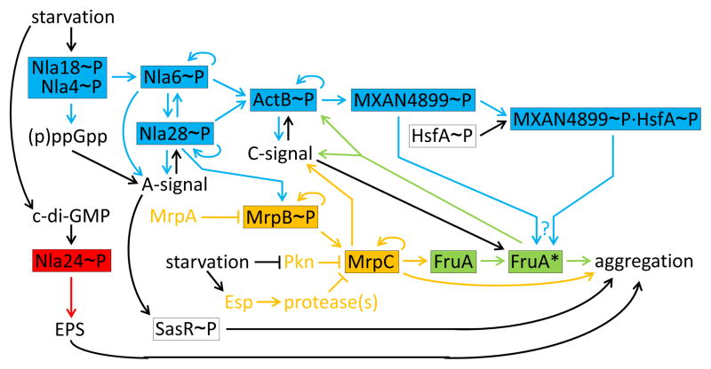 Figure 3 Key Figure