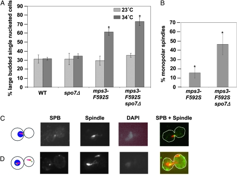 Figure 2.—