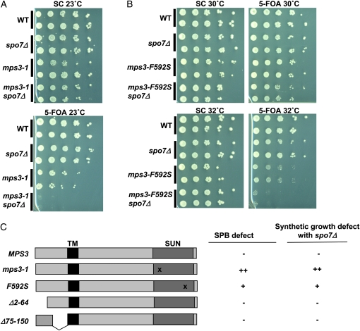 Figure 1.—