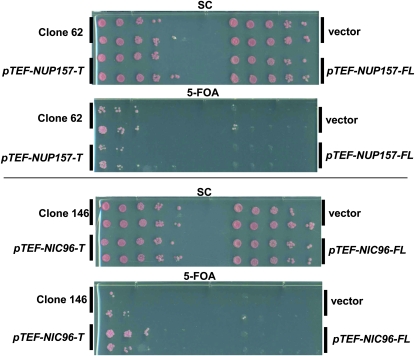 Figure 3.—