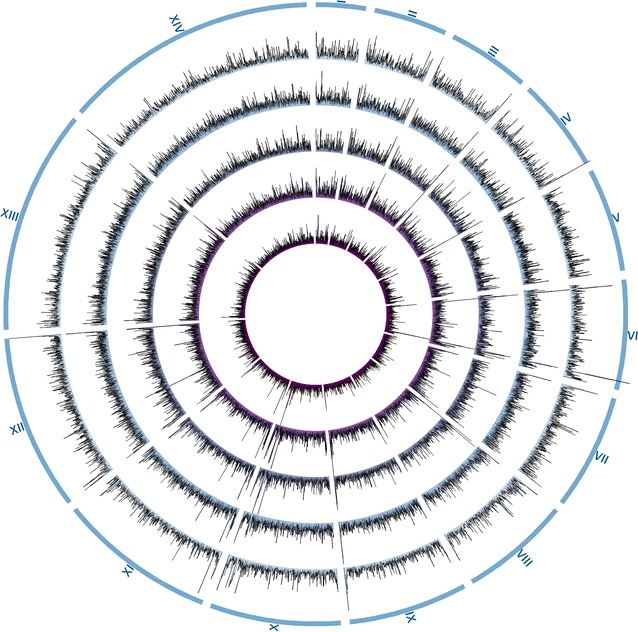 Fig. 2