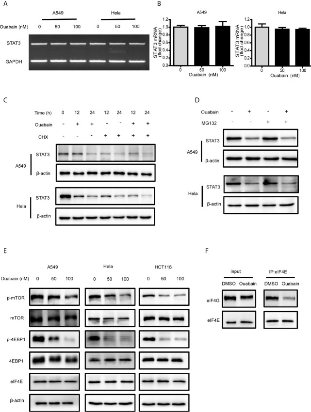 Figure 6