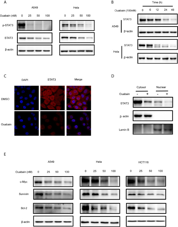 Figure 4