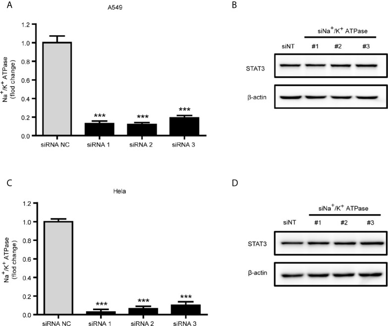 Figure 5