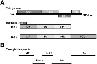 FIG. 1.