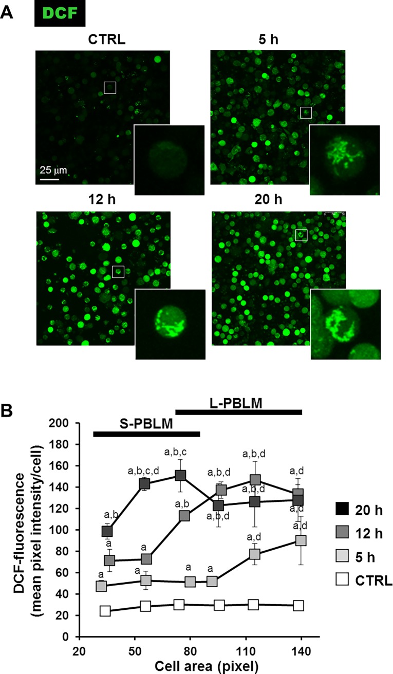 Fig 10