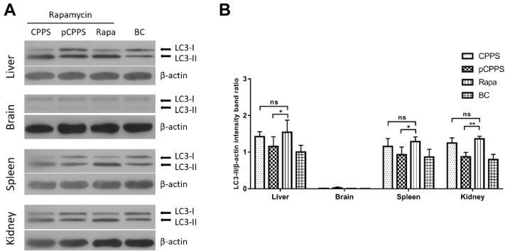 Figure 5