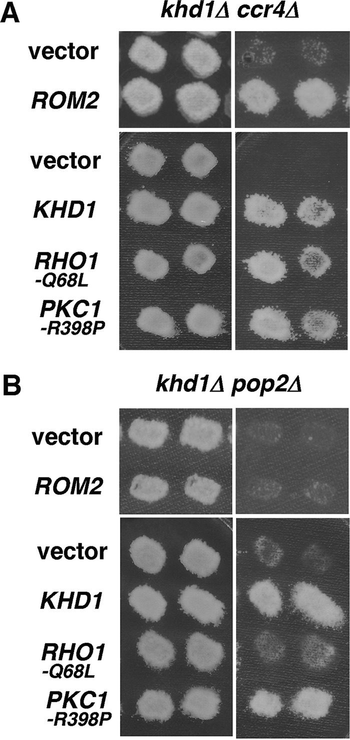 FIG 12 