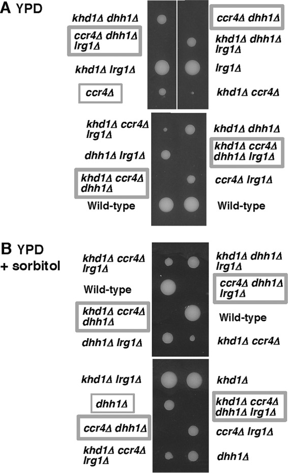 FIG 11 