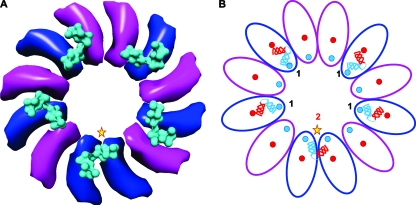 Fig 9