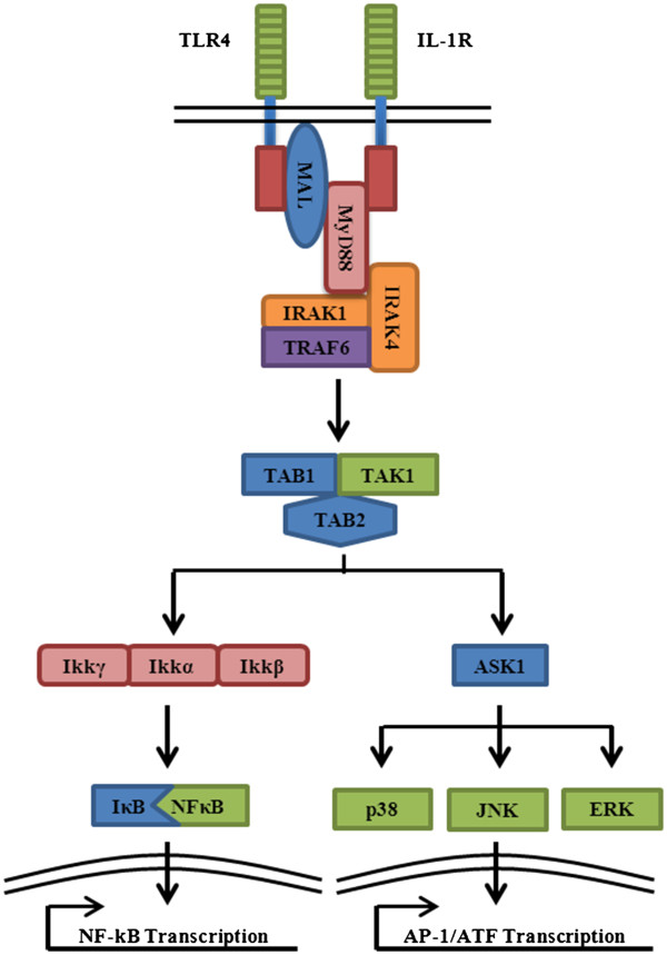 Figure 4