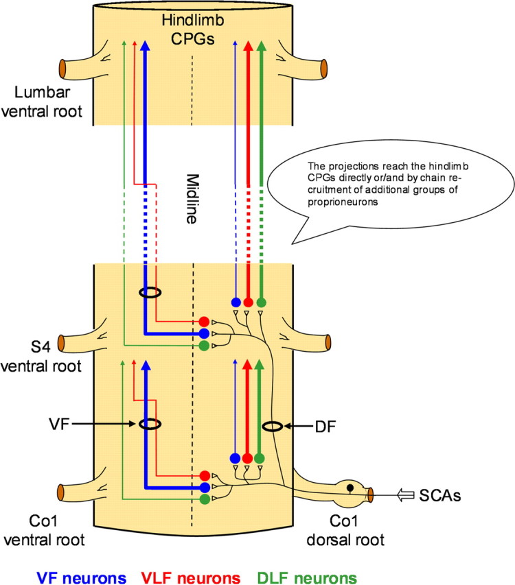 Figure 9.