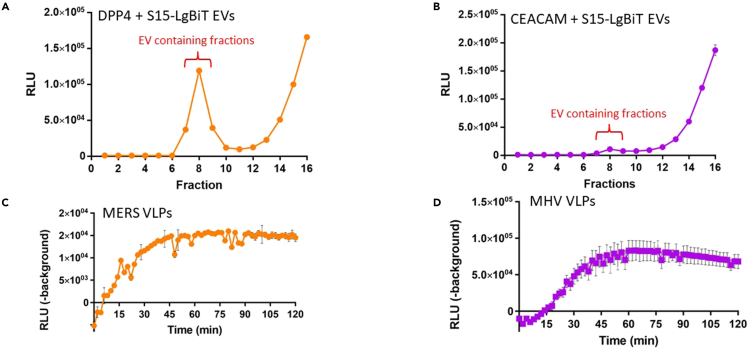 Figure 5