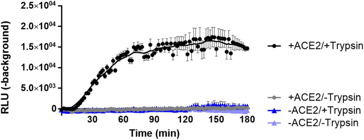 Figure 2