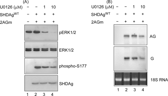 FIG. 8.