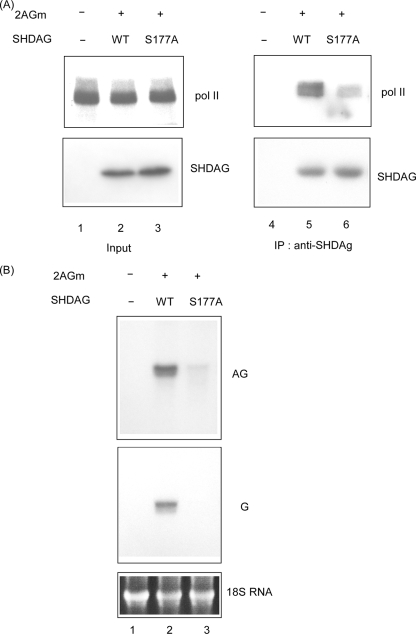 FIG. 9.