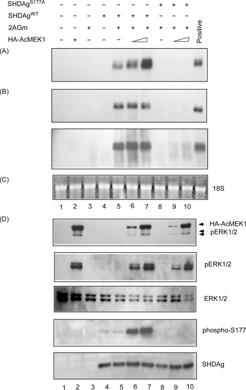 FIG. 5.