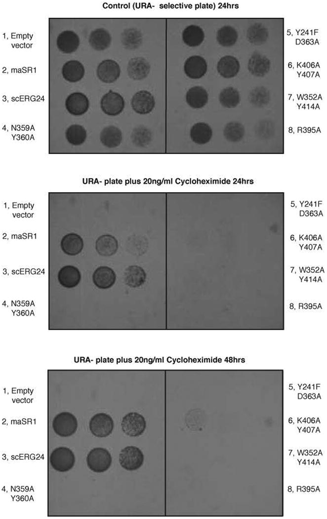 Extended Data Fig. 3