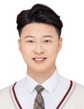 graphic file with name ADVS-12-e07209-g010.gif